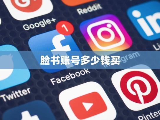 脸书账号多少钱买