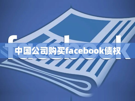 中国公司购买facebook债权