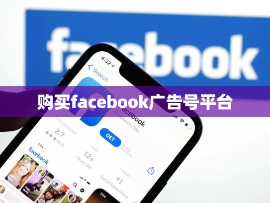 购买facebook广告号平台