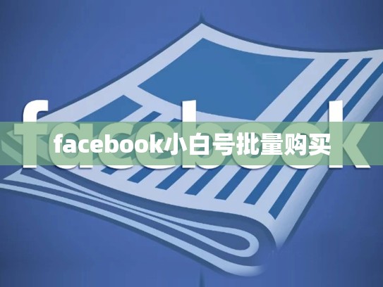 facebook小白号批量购买