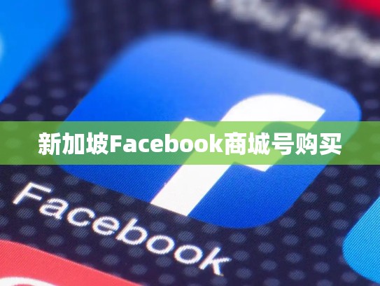 新加坡Facebook商城号购买
