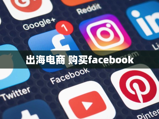 出海电商 购买facebook