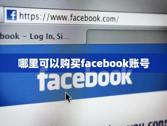 哪里可以购买facebook账号