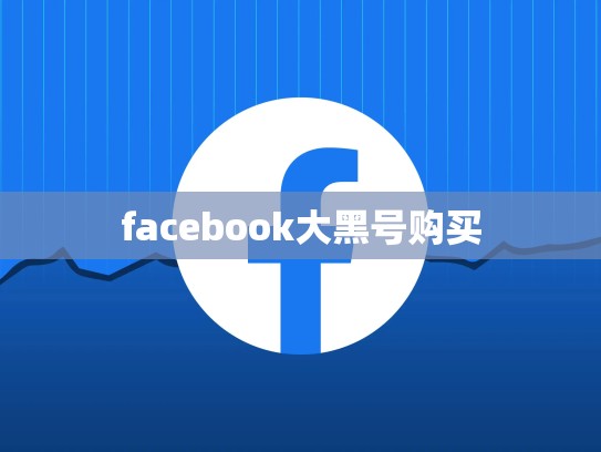facebook大黑号购买