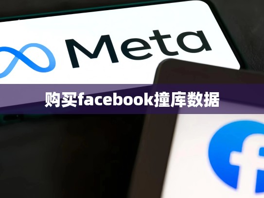 购买facebook撞库数据