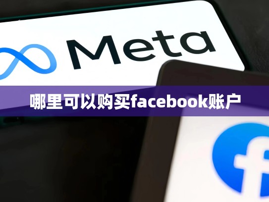 哪里可以购买facebook账户