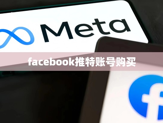 facebook推特账号购买