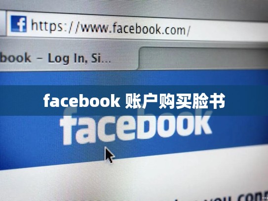 facebook 账户购买脸书