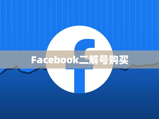 Facebook二解号购买
