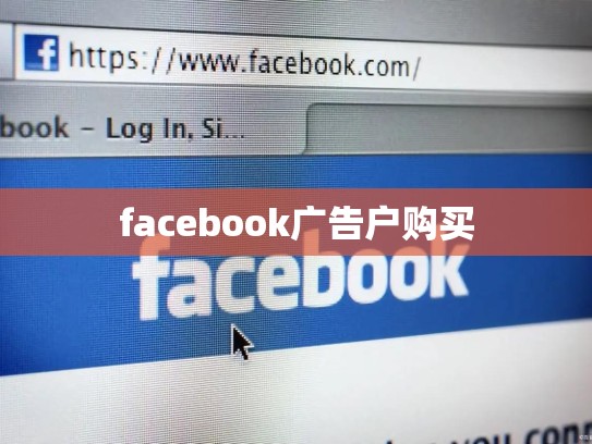 facebook广告户购买