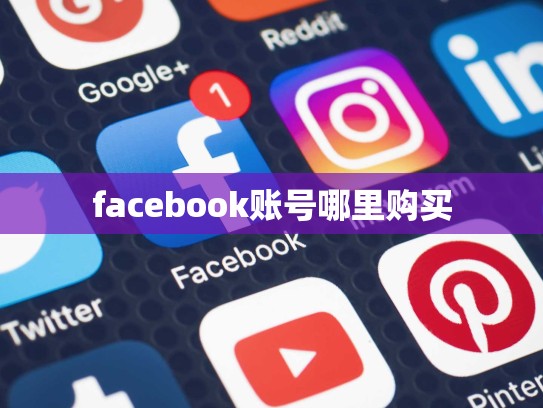 facebook账号哪里购买