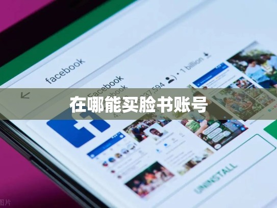 在哪能买脸书账号