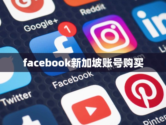 facebook新加坡账号购买