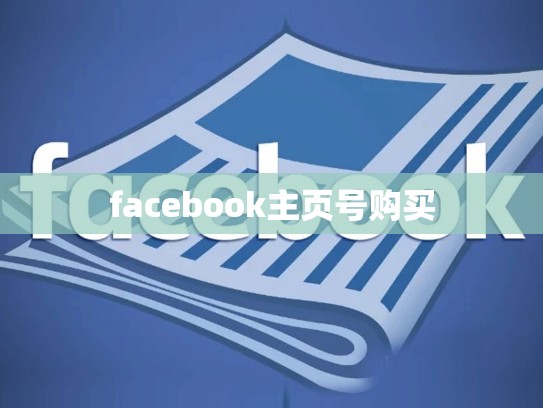 facebook主页号购买