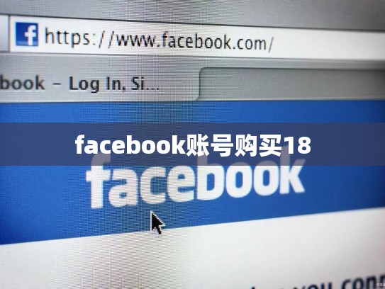 facebook账号购买18