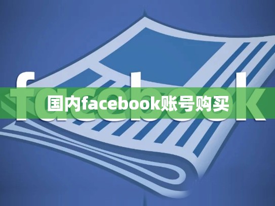 国内facebook账号购买