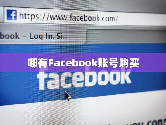 哪有Facebook账号购买