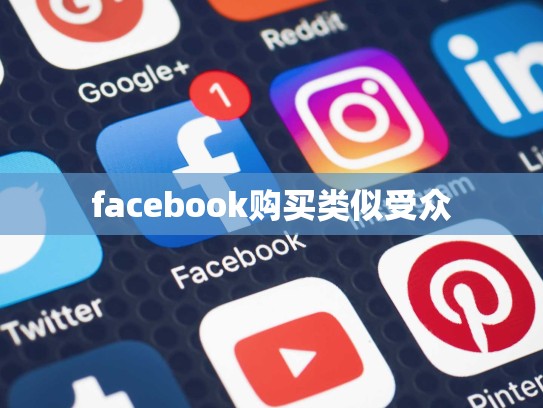 facebook购买类似受众