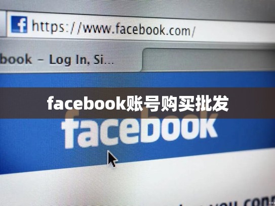facebook账号购买批发