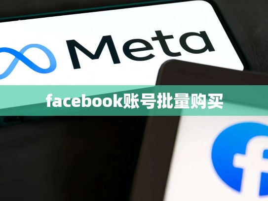 facebook账号批量购买