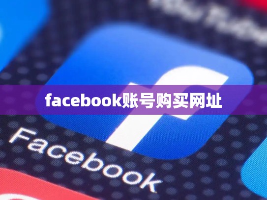 facebook账号购买网址