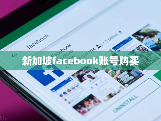 新加坡facebook账号购买