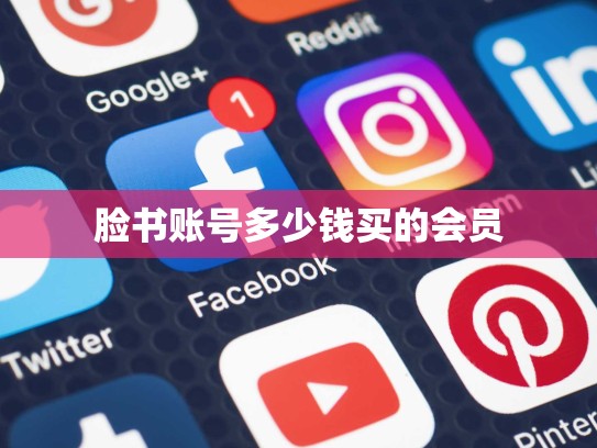 脸书账号多少钱买的会员