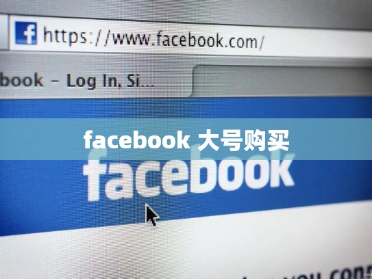 facebook 大号购买