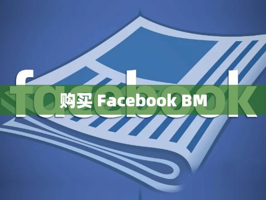 购买 Facebook BM