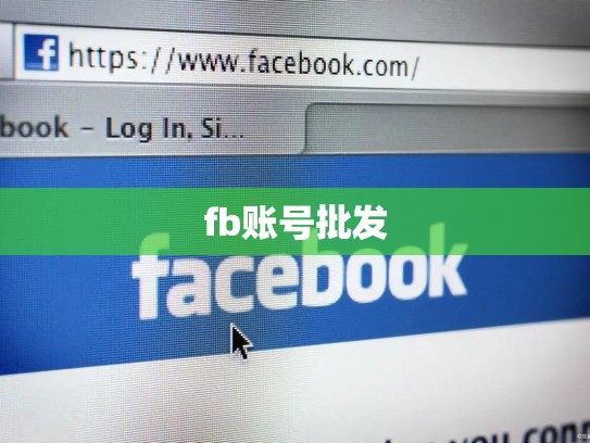 fb账号批发