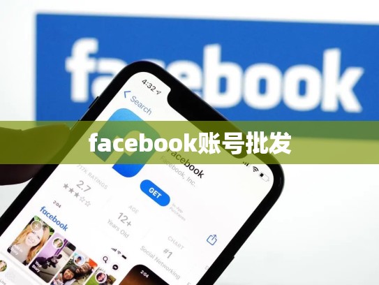facebook账号批发