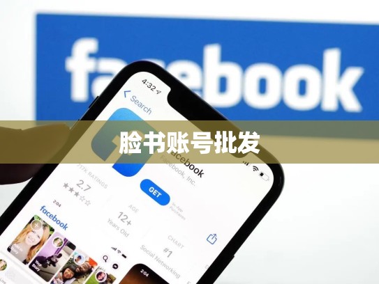 脸书账号批发