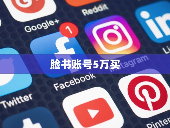 脸书账号5万买